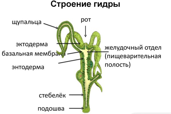 Как пополнить кошелек кракена