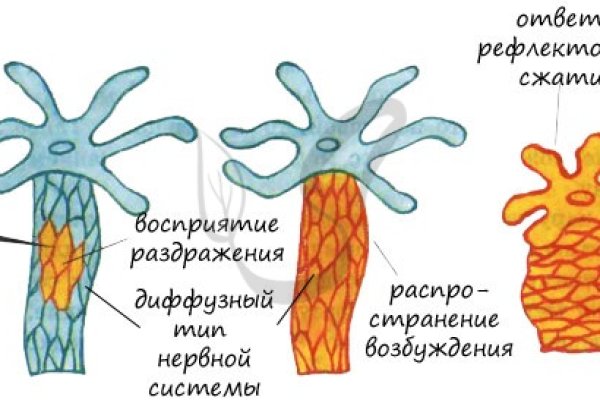 Маркет плей кракен