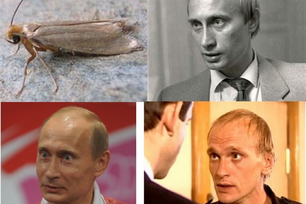 Гидра зайти кракен