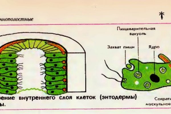 Не могу зайти на сайт кракен