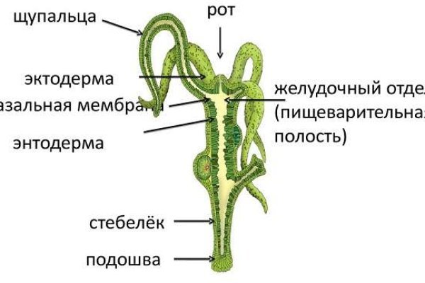 Kraken clear ссылка